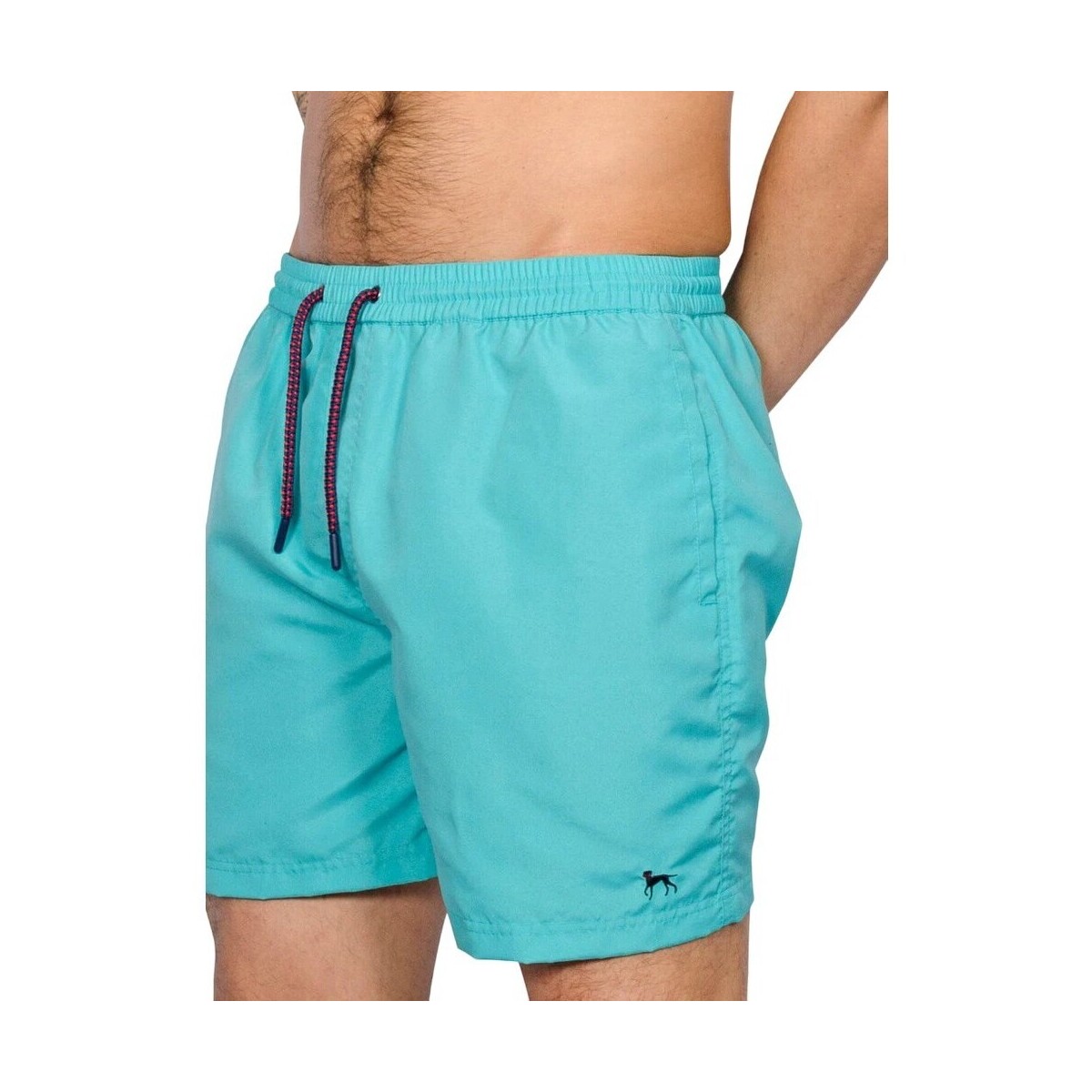 Vêtements Homme Shorts / Bermudas Bewley And Ritch Alden Bleu