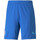 Vêtements Homme Shorts / Bermudas Puma 759718-13 Bleu