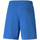 Vêtements Homme Shorts / Bermudas Puma 759718-13 Bleu