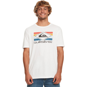 Vêtements Homme Débardeurs / T-shirts sans manche Quiksilver Qs Rainbow Blanc
