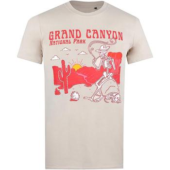 Vêtements Homme T-shirts manches longues National Parks Grand Canyon Beige
