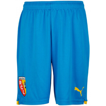 Vêtements Homme Bleu Shorts / Bermudas Puma 765431-03 Bleu