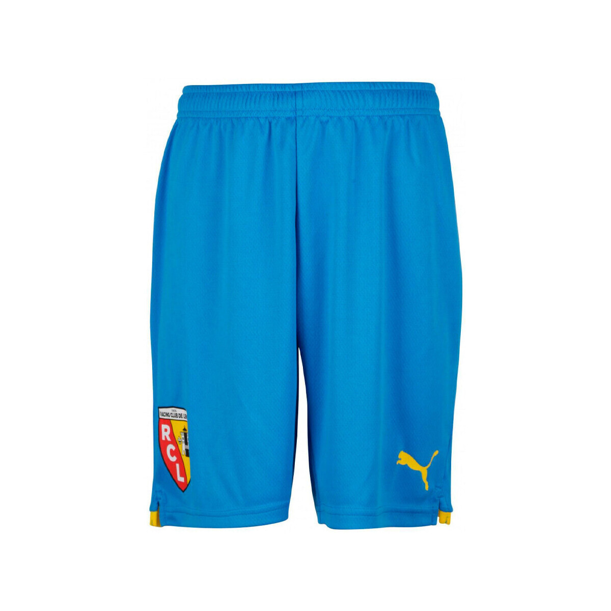 Vêtements Homme Shorts / Bermudas Puma 765431-03 Bleu
