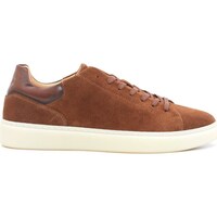 Chaussures Homme Baskets Ginette Finsbury Shoes DAYTONA Marron