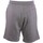 Vêtements Homme Shorts / Bermudas New-Era Ne Essential Shorts Newera  Hgrwhi Gris