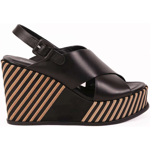 Chaussures Femme Rideaux / stores Elvio Zanon Parma Noir
