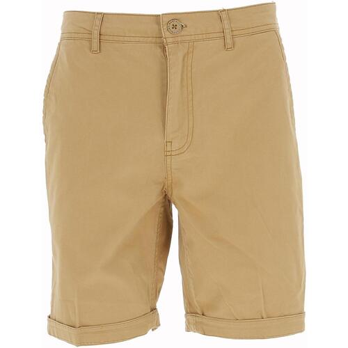 Vêtements Homme phlame Shorts / Bermudas Sun Valley Bermuda Marron