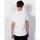 Vêtements Homme T-shirts manches courtes Mizuno Impulse core tee Blanc