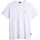 Vêtements Homme T-shirts & Polos Napapijri Salis Ss Sum Blanc