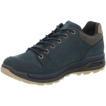 Chaussures Homme Tableaux / toiles Lowa  Bleu