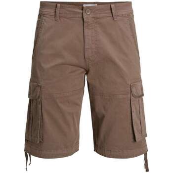 Vêtements Homme Shorts / Bermudas Premium By Jack & Jones 145103VTPE23 Marron