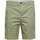 Vêtements Homme Shorts / Bermudas Selected 145197VTPE23 Vert