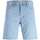 Vêtements Homme Shorts / Bermudas Jack & Jones 146631VTPE23 Marron