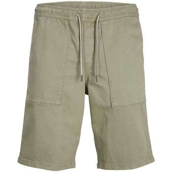 Vêtements Homme Shorts DRESS / Bermudas Jack & Jones 146670VTPE23 Kaki
