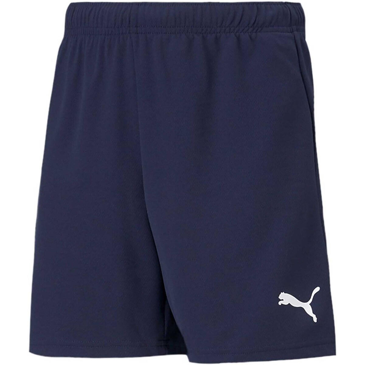 Vêtements Enfant Shorts / Bermudas Puma Teamrise Short Jr Bleu
