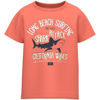 Vêtements Enfant T-shirts manches courtes Name it 13215002 Orange