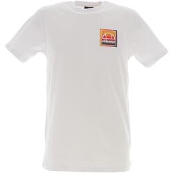 Vêtements Homme T-shirts manches courtes Ellesse Padora Blanc