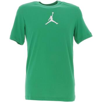 Vêtements Homme T-shirts manches courtes Nike M j jumpman df ss crew Vert
