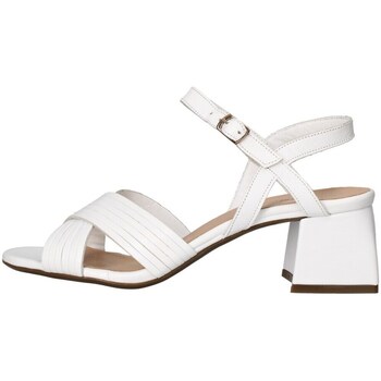 Chaussures Femme Sandales et Nu-pieds Epoche' Xi 483 santal Femme Blanc Blanc