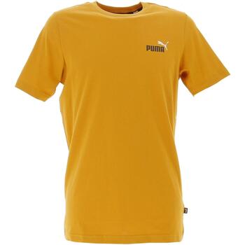 Vêtements Homme T-shirts manches courtes Puma Fd ess+2 s logo tee Marron