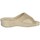 Chaussures Femme Claquettes Scholl NIVES Beige