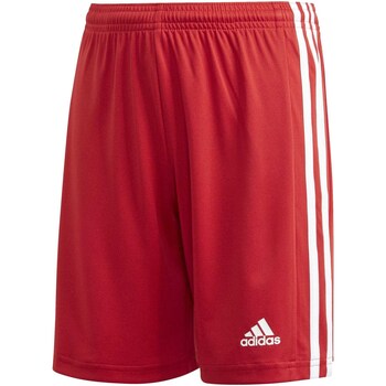 Vêtements Garçon Shorts / Bermudas adidas Originals Squad 21 Sho Y Rouge