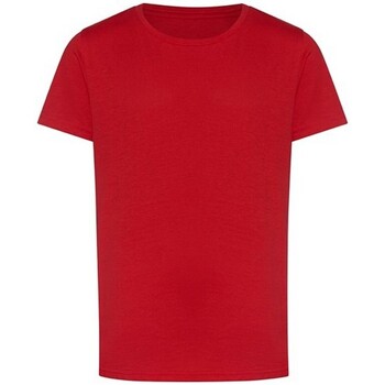 Vêtements Enfant T-shirts manches longues Awdis The 100 Rouge