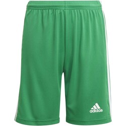 Vêtements Enfant Shorts / Bermudas adidas Originals Squad 21 Sho Y Vert