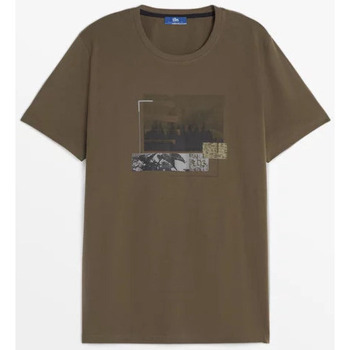 Vêtements Homme T-shirts manches courtes TBS CASEYTEE RESINEUX14275