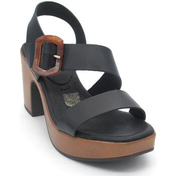 Chaussures Femme Sandales et Nu-pieds Dart Brush Leather Lace-Up Boot  Noir