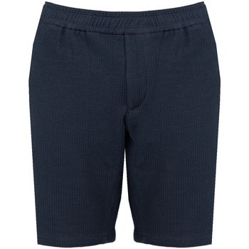 Vêtements Homme Shorts / Bermudas Tommy Archive Hilfiger MW0MW23830 Bleu