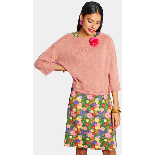 Vêtements Femme Pulls Fruit Of The Loo Pull Court Rose