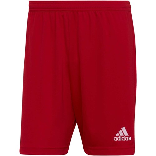 Vêtements Homme Shorts / Bermudas adidas Originals Ent22 Sho Rouge