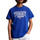 Vêtements Homme T-shirts manches courtes Tommy Jeans Regular Bleu
