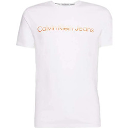 Vêtements Homme T-shirts manches courtes Calvin Klein Jeans rainbow Blanc