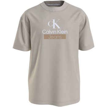 Vêtements Homme T-shirts & Polos Calvin Klein Big & Tall T-shirt coton col rond Beige