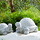 Maison & Déco Statuettes et figurines Amadeus Statuette tortue en ciment Gris