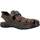 Chaussures Homme Sandales et Nu-pieds IgI&CO 3641211 Marron