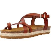 Chaussures Femme NEWLIFE - JE VENDS The Happy Monk ZOE 005Y Marron
