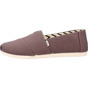 Toms ASH RECYCLED COTTON CANVAS Marron