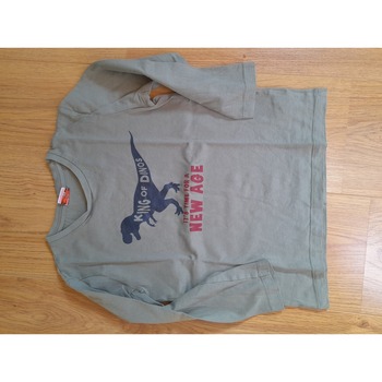Vêtements Garçon Newlife - Seconde Main Tape à l'oeil  T-shirt dinosaure Kaki