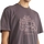 Vêtements Homme T-shirts & Polos Revolution Loose T-Shirt 1329 PAK - Dust Purple Violet