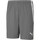 Vêtements Homme Shorts / Bermudas Puma Teamliga Shorts Gris