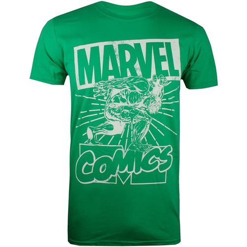 Vêtements Homme T-shirts manches longues Hulk Lift Vert