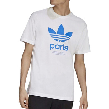 Vêtements Homme T-shirts & Polos adidas Originals GT7414 Blanc