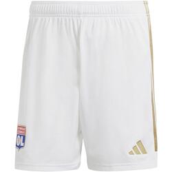 Vêtements Homme Shorts / Bermudas adidas Originals Ol h sho Blanc