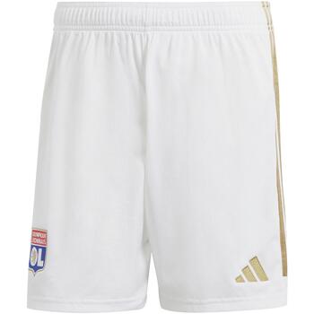 Vêtements Homme Shorts / Bermudas adidas NITE Originals Ol h sho Blanc