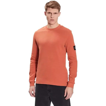 Vêtements Homme Sweats Calvin Klein Jeans Waffle original Orange