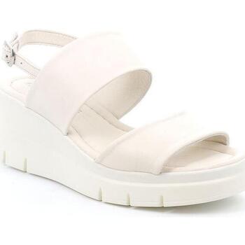 Chaussures Femme Sandales et Nu-pieds Grunland DSG-SA1223 Blanc