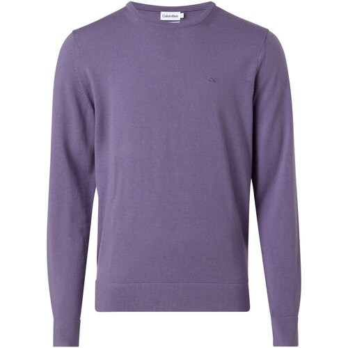 Vêtements Homme T-shirts manches courtes Calvin Klein Jeans K10K109474 Violet